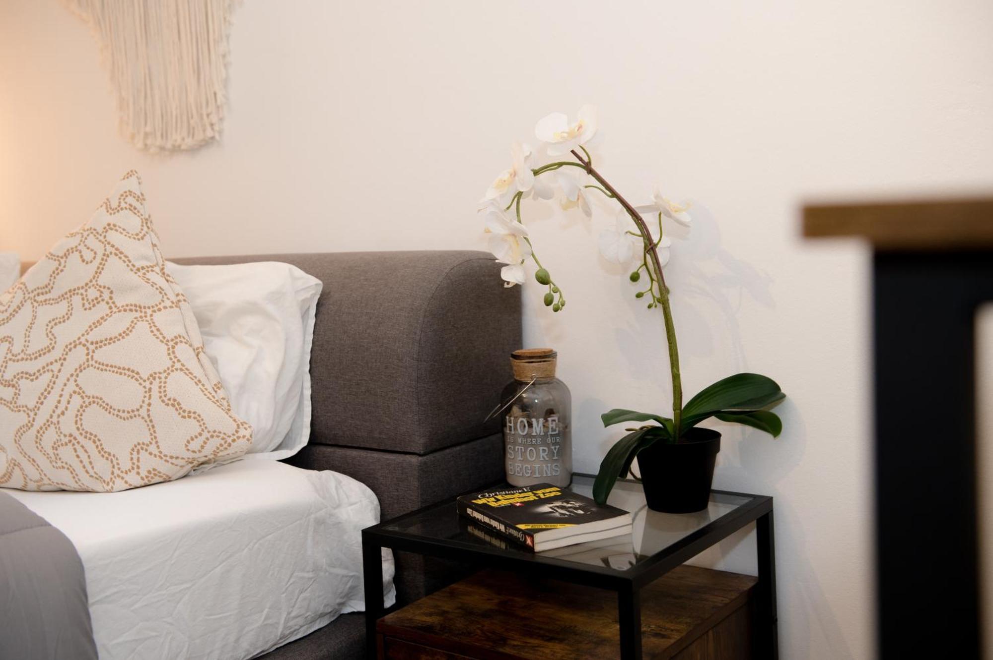 Entire Tulum Apartment, In The Center Of Vídeň Exteriér fotografie